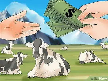 Начать молочную ферму Шаг 6