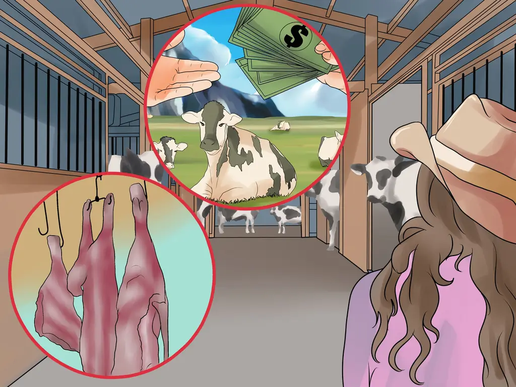 Как начать молочную ферму: 15 шагов (с иллюстрациями)