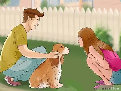 Уход за английскими спрингер-спаниелями Шаг 12