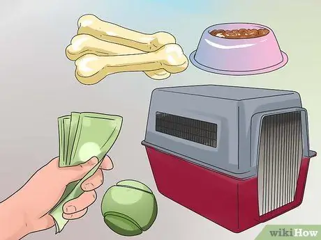 Найдите и усыновите здоровую и счастливую собаку из приюта Шаг 17