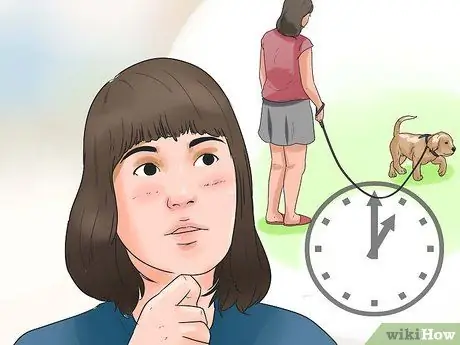 Найдите и усыновите здоровую и счастливую собаку из приюта Шаг 2