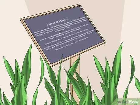 Определение растений Шаг 13