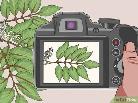 Определение растений Шаг 5