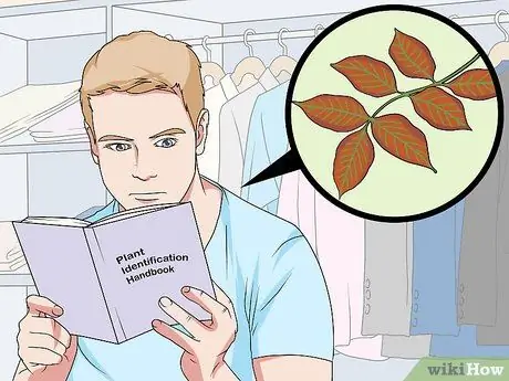 Определение растений Шаг 7