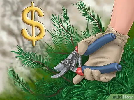 Зарабатывайте на стрижке газонов Шаг 15