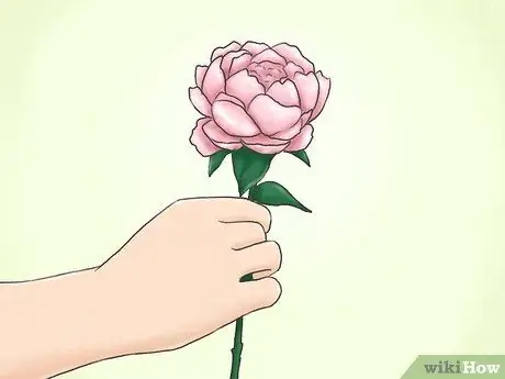 Приветствуем девушку Шаг 14