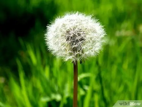 Спор о существовании Бога Шаг 3