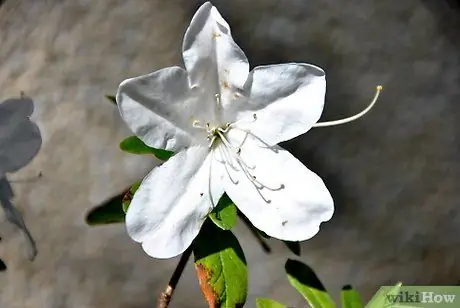 Спор о существовании Бога Шаг 6