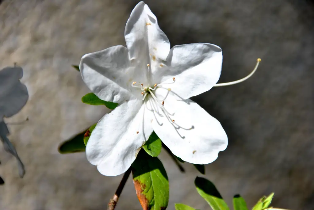 Как отстаивать существование Бога: 6 шагов (с иллюстрациями)