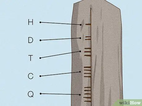 Прочтите огамовые камни, шаг 7