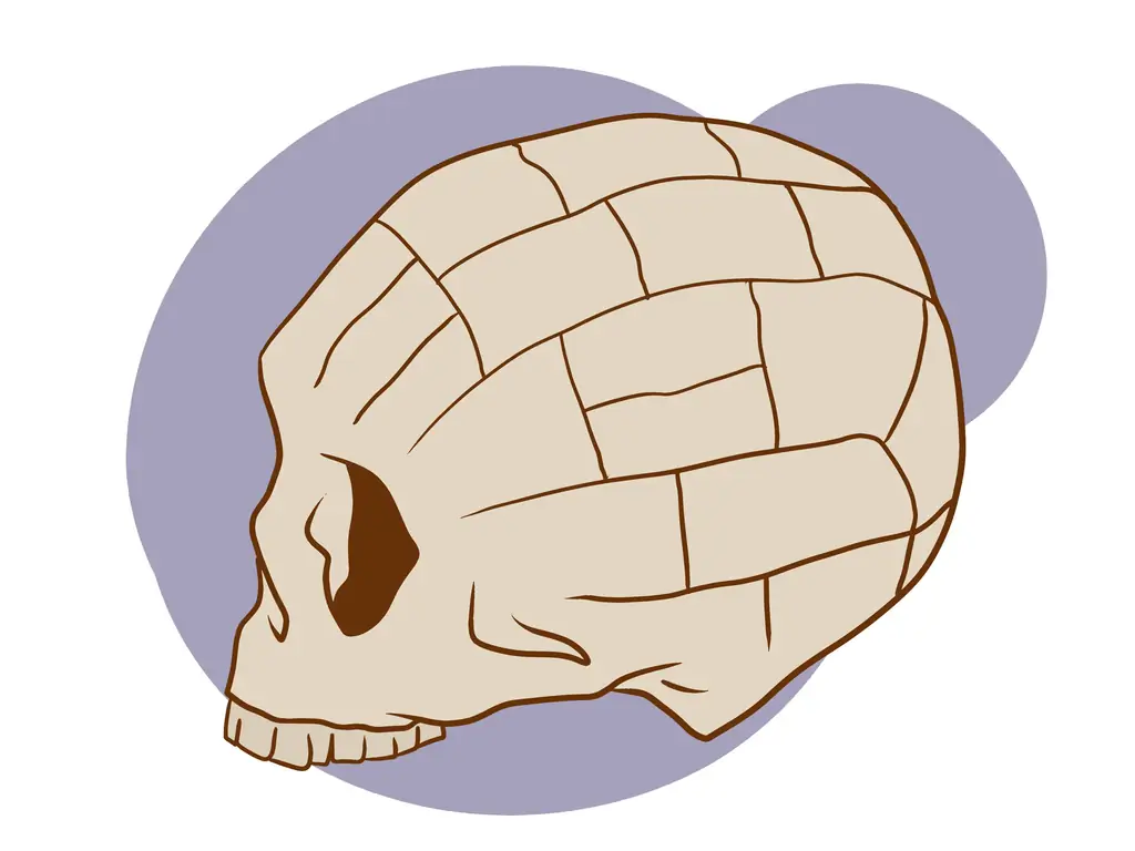 Как утверждать, что астрология - фальшивка: 9 шагов (с иллюстрациями)