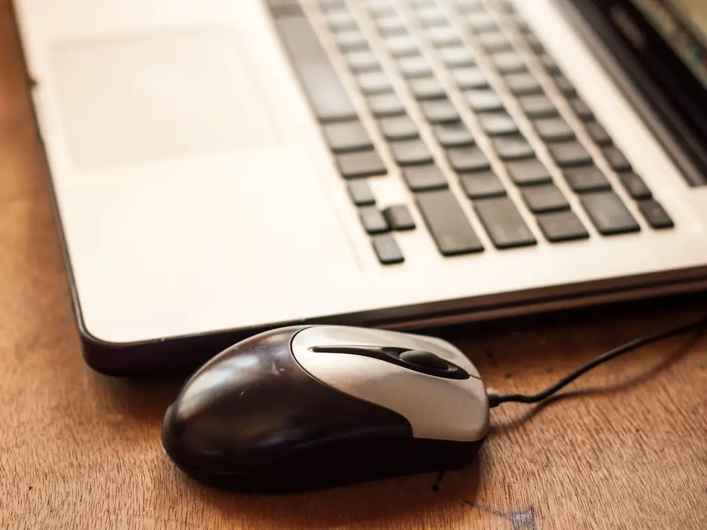 Как научить целителей ложной веры и избежать опасностей: 8 шагов