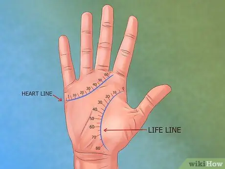 Вычислить возраст человека с помощью хиромантии Шаг 4
