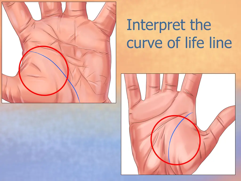 Как рассчитать возраст человека с помощью хиромантии: 6 шагов