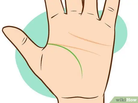 Прочтите Palm Lines Шаг 5