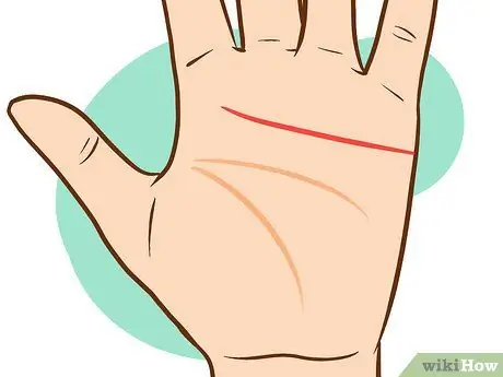 Прочтите Palm Lines Шаг 3