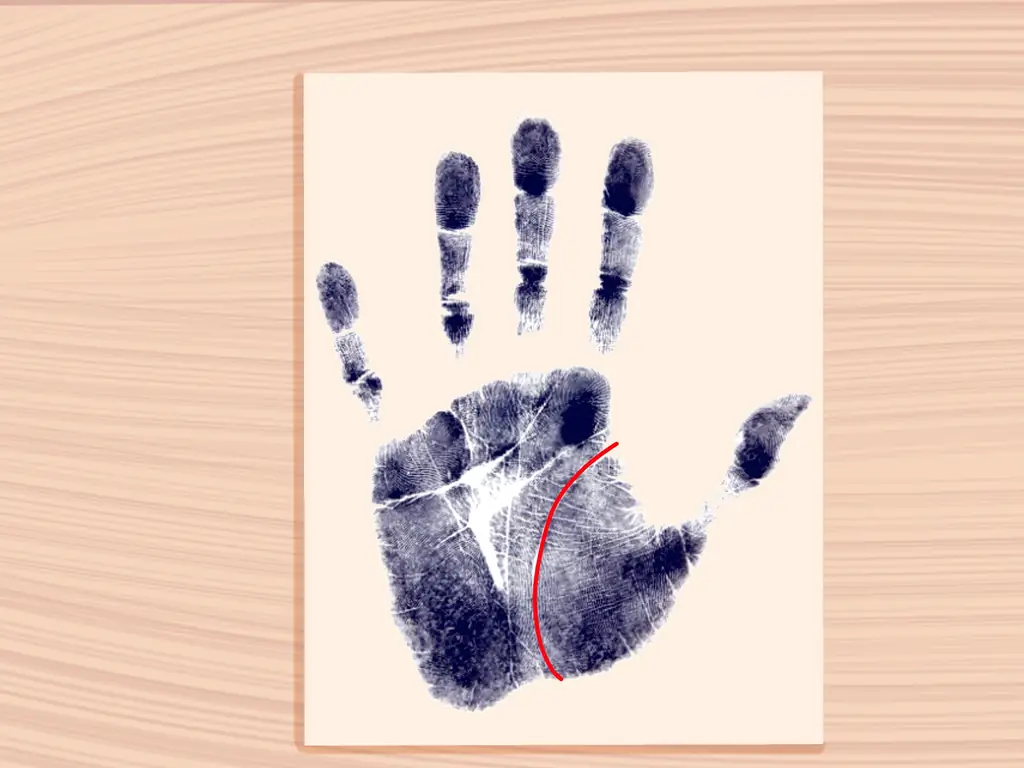 Как сделать отпечаток ладони: 10 шагов (с картинками)