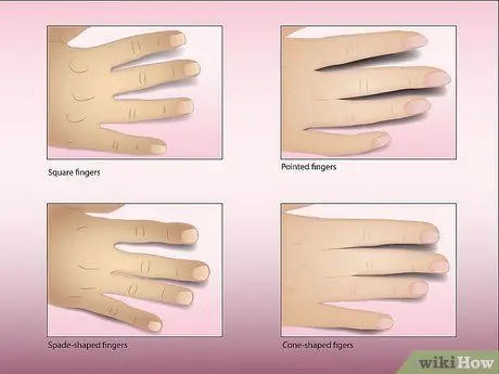 Читать пальмы (продвинутый уровень), шаг 1