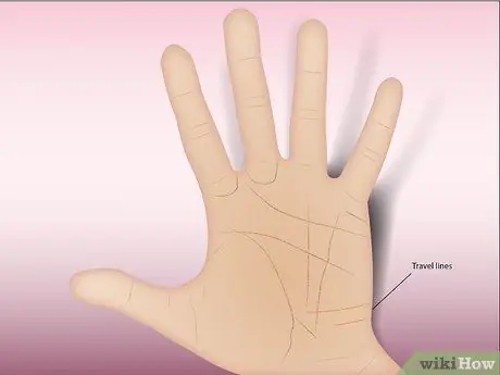 Читать пальмы (продвинутый), шаг 10