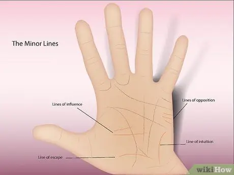 Читать пальмы (для опытных), шаг 11