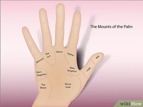 Читать пальмы (продвинутый), шаг 12