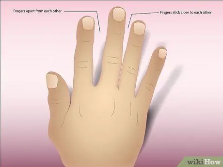 Читать пальмы (продвинутый уровень), шаг 3