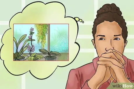 Попросите арендодателя исправить проблему плесени Шаг 2