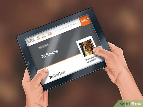 Создайте доверие для своих питомцев Шаг 12