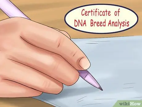 Создайте доверие для своих питомцев Шаг 14