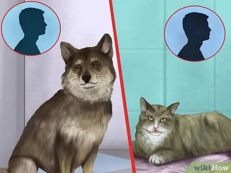 Создайте доверие для своих питомцев Шаг 9