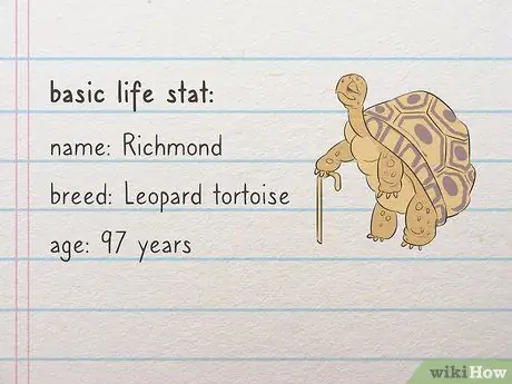 Создание подробного профиля персонажа Шаг 12