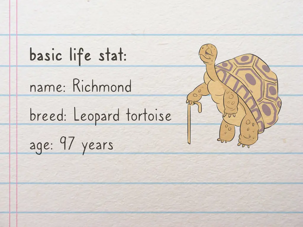 Как создать подробный профиль персонажа: 12 шагов