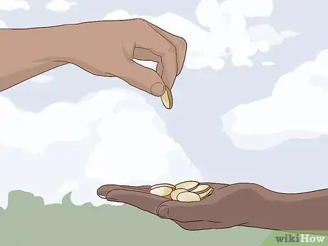 Создание вымышленной культуры Шаг 7