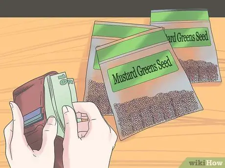 Выращивание зелени горчицы Шаг 2