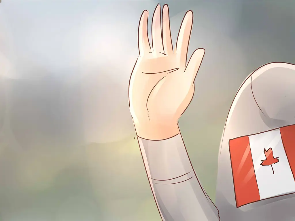 3 способа получить двойное гражданство в США и Канаде