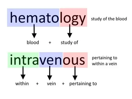 Understand_Medical_Terminolgy_Step_4