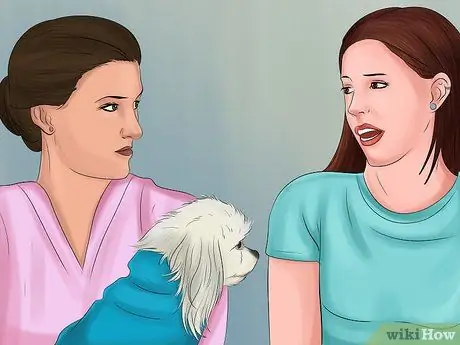 Составьте соглашение о защите домашних животных Шаг 1