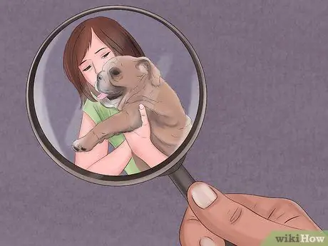 Составьте соглашение о защите домашних животных Шаг 11