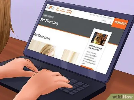 Составьте соглашение о защите домашних животных Шаг 12