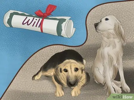 Составьте соглашение о защите домашних животных Шаг 16