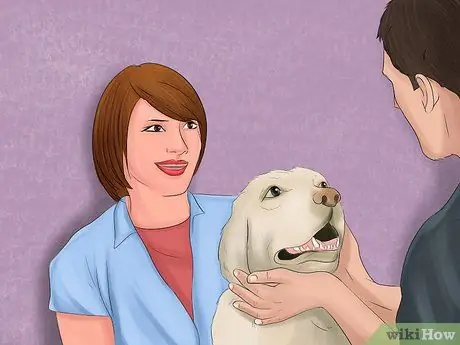 Составьте соглашение о защите домашних животных Шаг 2