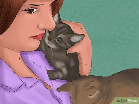 Составьте соглашение о защите домашних животных Шаг 7