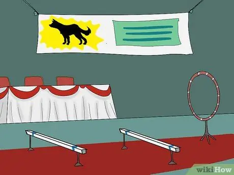 Организуйте выставку собак Шаг 3