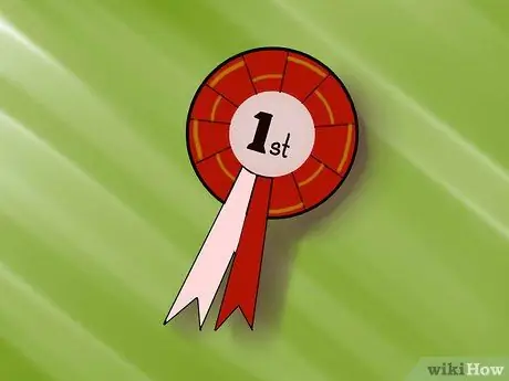 Организуйте выставку собак Шаг 7