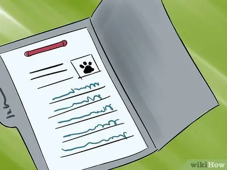 Организуйте выставку собак Шаг 8