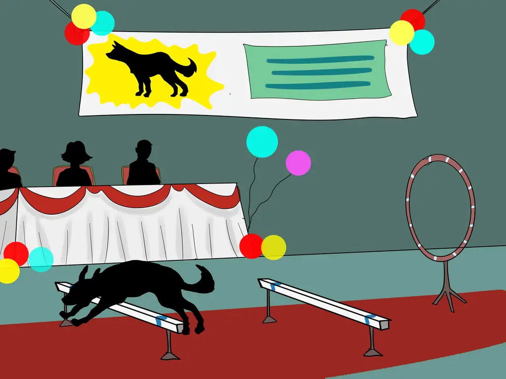 Как организовать выставку собак: 14 шагов (с иллюстрациями)