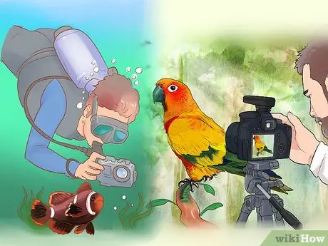 Работа для National Geographic Шаг 7