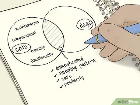 Начать сравнение и сопоставить эссе Шаг 3