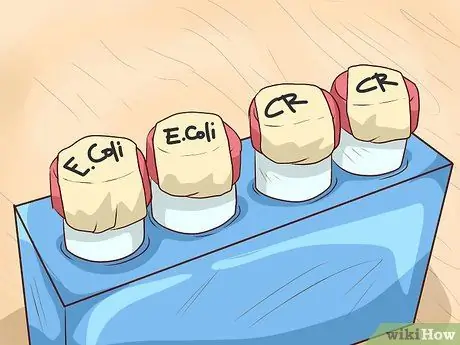 Подготовьте запас глицерина Шаг 7