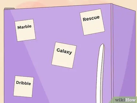 Этюд для орфографической пчелы. Шаг 12